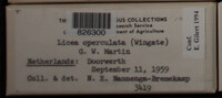 Image Associated With the Occurence
